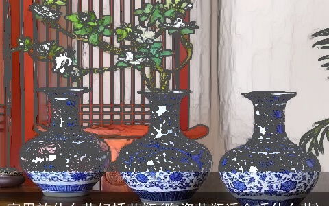 家里放什么花好插花瓶(陶瓷花瓶适合插什么花)