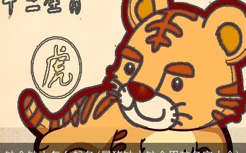 缺金缺木怎么起名(属猪缺木缺金男孩名字大全)