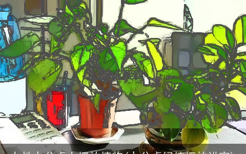 女性办公桌上摆放植物(办公桌绿植摆放讲究)