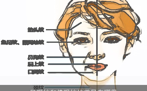 凤眼纹和佛眼纹的差异在哪里