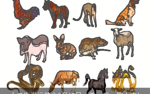 十二生肖运势之8月19日，羊、虎、狗大吉!