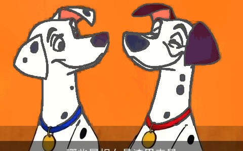 哪些属相女是渣男克星