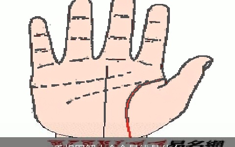 手相图解大全金星线是什么