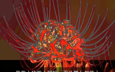 最花心的四大属相，不分男女都花心