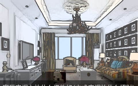 客厅空调上放什么摆件好(立式空调放什么招财)