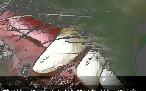 梦见掉牙齿是什么预兆？梦见自己掉牙齿的意思