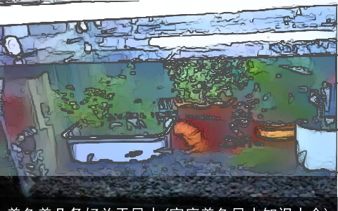 养鱼养几条好关于风水(家庭养鱼风水知识大全)