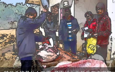 梦见杀猪是什么意思 是不祥之兆预示有灾害吗