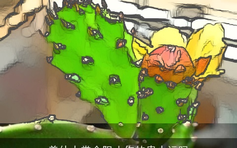 养仙人掌会阻止你的贵人运吗