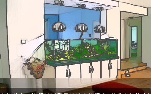 鱼缸放在一进门就能看见的地方好吗(玄关珠帘的讲究)