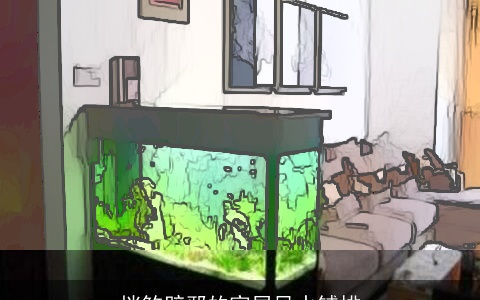 挡煞辟邪的家居风水铺排