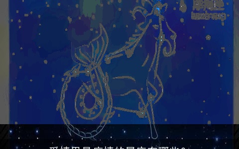 爱情里最痴情的星座有哪些？