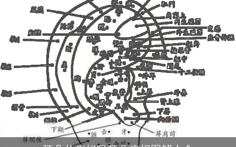 耳朵长痣好吗耳朵痣相图解大全