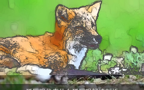 狐狸眼代表什么狐狸眼解读剖析