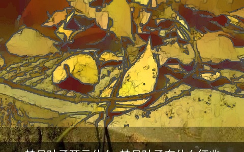 梦见叶子预示什么 梦见叶子有什么征兆