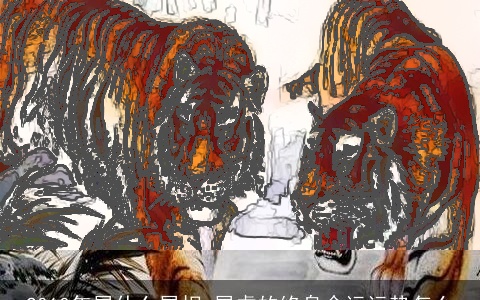 2010年属什么属相 属虎的终身命运运势怎么