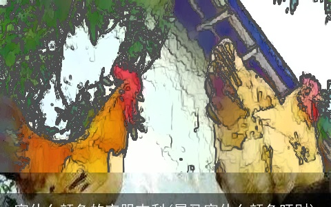 穿什么颜色的衣服吉利(属马穿什么颜色旺财)