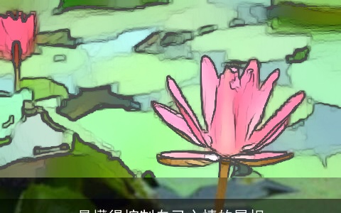 最懂得控制自己心情的属相