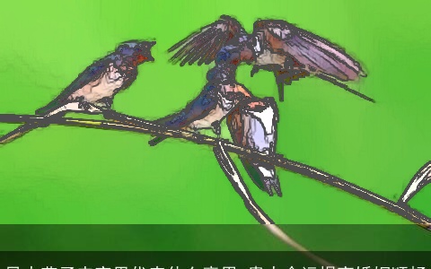 风水燕子来家里代表什么意思 贵人命运提高婚姻顺畅