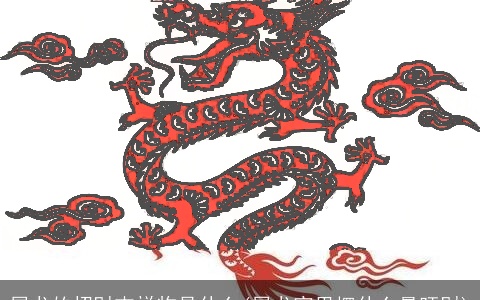 属龙的招财吉祥物是什么(属龙家里摆什么最旺财)