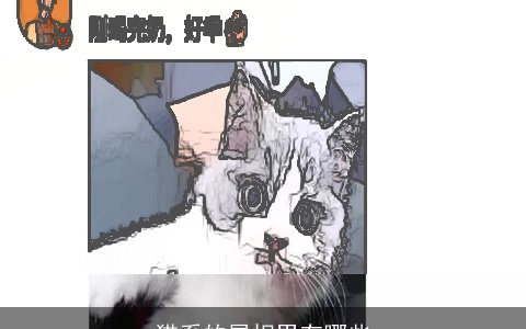 猫系的属相男有哪些