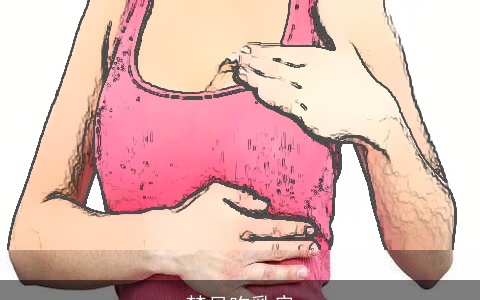 梦见吃乳房