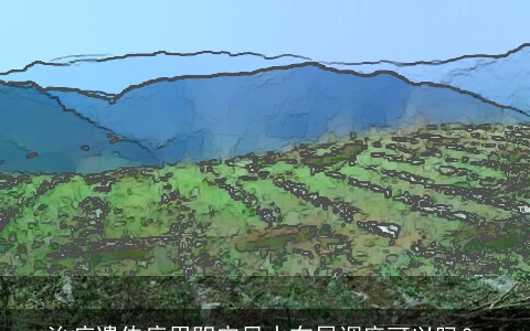 治疗遗传病用阴宅风水布局调度可以吗？