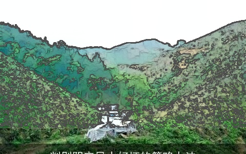 判别阴宅风水好坏的简略办法