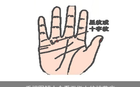 手相图解大全看五指上的桃花痣