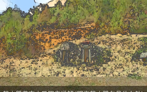 乾山巽兼亥山巳阴宅详解(阴宅乾山巽向是什么卦)