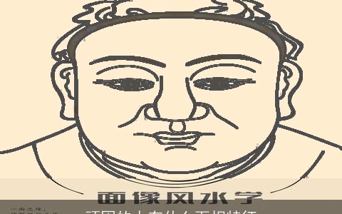 顽固的人有什么面相特征