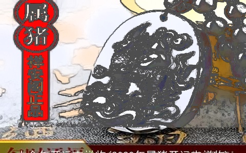 本命年开运吉祥物(2020年属猪开运吉祥物)