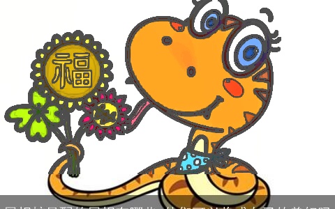 属相蛇最配的属相有哪些 他们可以收成自己的美好吗