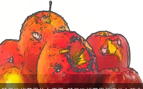 梦见吃烂苹果什么意思 梦见吃烂苹果代表什么预兆