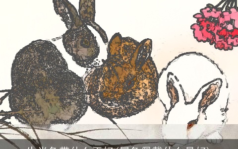 生肖兔带什么玉好(属兔佩戴什么最好)