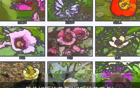 简单好听的花名(好听的花草名)