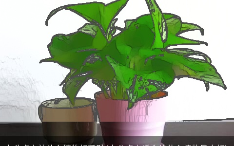 办公桌上放什么植物好旺财(办公桌上适合放什么植物风水好)