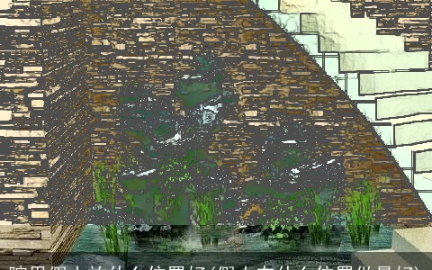 院里假山放什么位置好(假山在什么位置做最好)