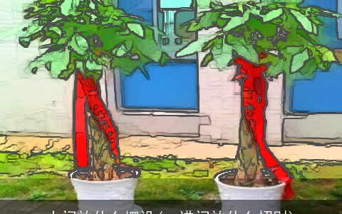 大门放什么摆设(一进门放什么招财)