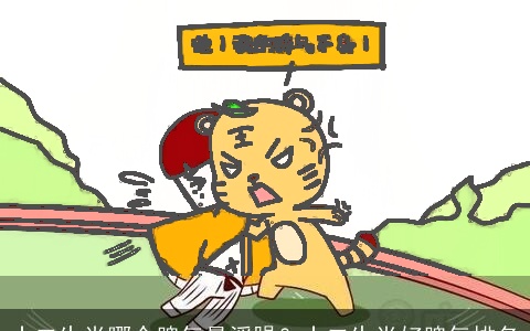 十二生肖哪个脾气最浮躁？十二生肖好脾气排名