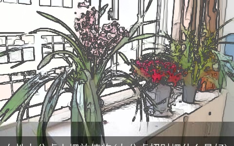 女性办公桌上摆放植物(办公桌招财摆什么最好)