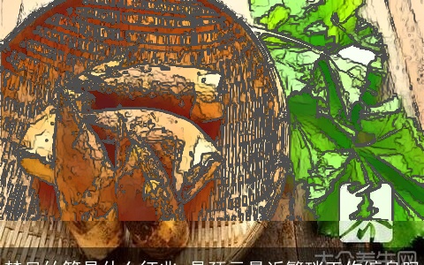 梦见竹笋是什么征兆 是预示最近繁琐工作缠身吗