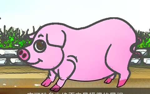 宁可独身也绝不容易择偶的属相