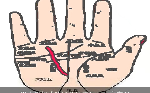 男人手相成功线长注定是人生赢家吗