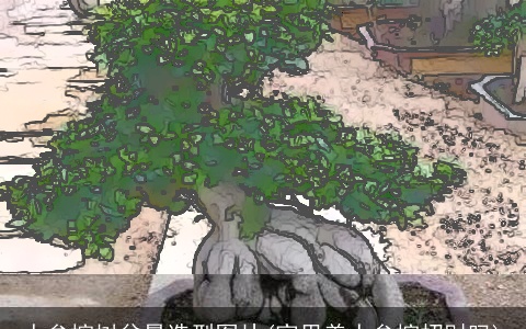 人参榕树盆景造型图片(家里养人参榕招财吗)