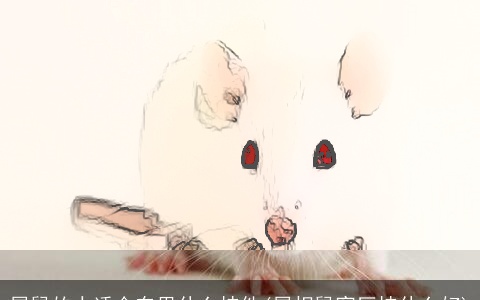 属鼠的人适合车里什么挂件(属相鼠客厅挂什么好)