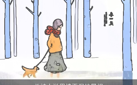 总被人说用情不深的属相