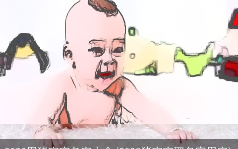 2023男猪宝宝名字大全(2023猪宝宝取名宜用字)