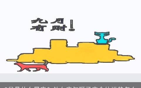 8月是什么星座？处女座与狮子座全体运势怎么