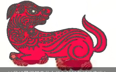 11月12属相都走什么运？2022年好运来啦！